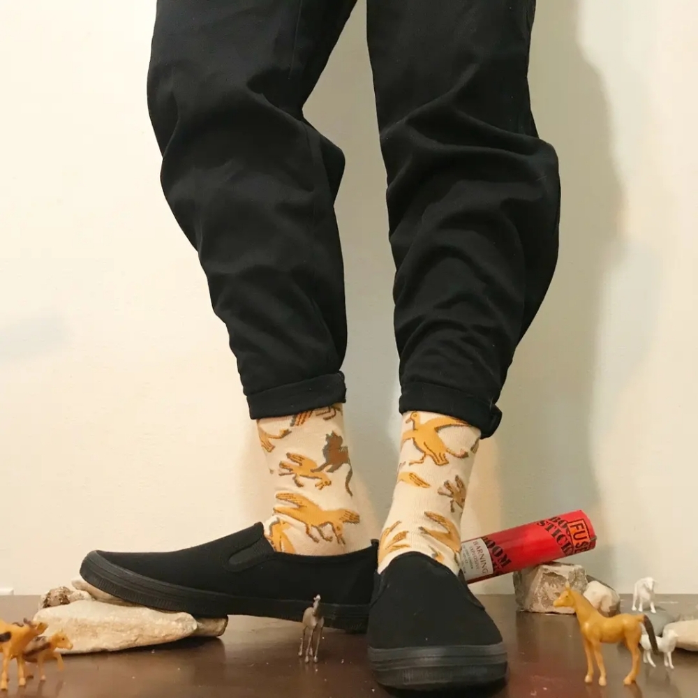 Cat n bird novelty designer socks